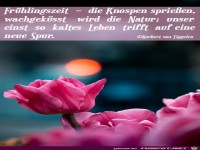 Frhlingszeit 2020