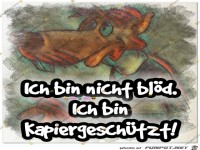 Kapiergeschuetzt