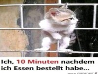 Wo bleibt meine Bestellung?