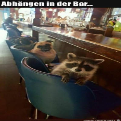 In-der-Bar.jpg von Lina