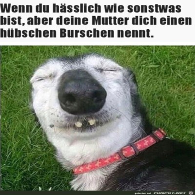 Ein-h&uuml;bscher-Bursche.jpg von Rebecca