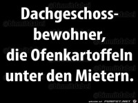 Ofenkartoffeln