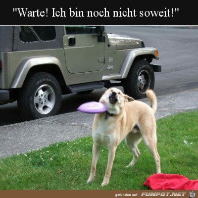 noch-nicht-bereit.jpg von Pius