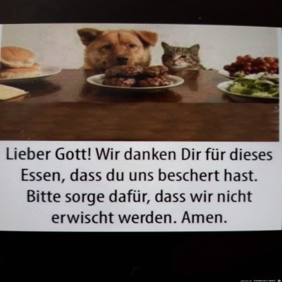 danke-f&uuml;rs-Essen.jpg von Tilo