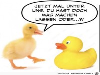 Du hast doch was machen lassen