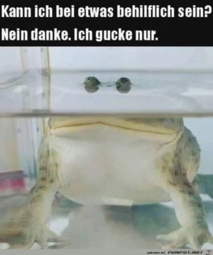 Ich-gucke-nur.jpg auf www.funpot.net