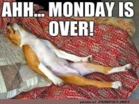 Der Montag ist rum