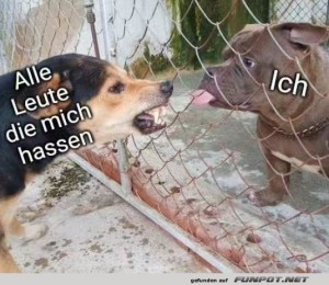 fun-Bild: Gute Idee