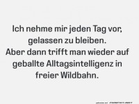 Gelassenheit im Alltag herausfordern