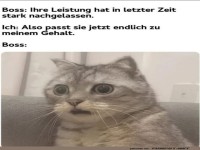 Wenn die Gehaltserhhung ein Schock ist