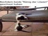 weiter
