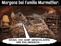 Wenn Murmeltiere l�nger schlafen
