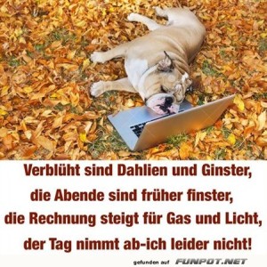 Der-Tag-nimmt-ab.jpg von Mareike-21