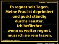 diegeilsten Fenster