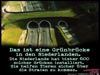 Das ist eine Gruenbruecke in NL