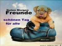 Guten Morgen Freunde