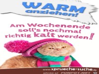 lustige-sprueche-katze-am-wochenende-solls-nochmal-richtig-k