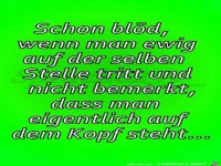 schon bloed