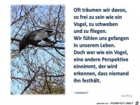 oft traeumen wir davon