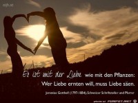 wer Liebe ernten will