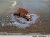 lifebuzz-c0ab132cff2159b70f626a711dfec68e-limit 2000