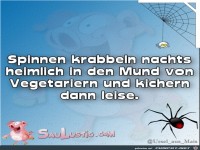 Spinnen-krabbeln-nachts
