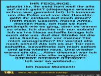 Feiglinge