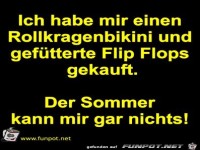 Ich habe mir einen Rollkragenbikini und gefütterte...