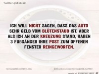 Gelb vom Bl�tenstaub