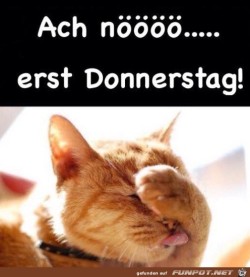 Donnerstag.jpg auf www.funpot.net