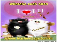 Schoene Nachmittagstunden