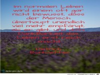 Im-normalen-Leben-wird-einem-D -Bonhoeffer