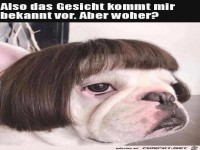 Kommt mir bekannt vor