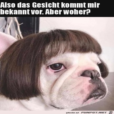 Kommt-mir-bekannt-vor.jpg von Keule56