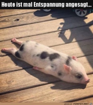 Erst-mal-entspannen.jpg auf www.funpot.net