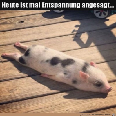 Erst-mal-entspannen.jpg von Matteo