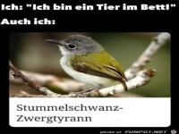 Vortuschung falscher Tatsachen