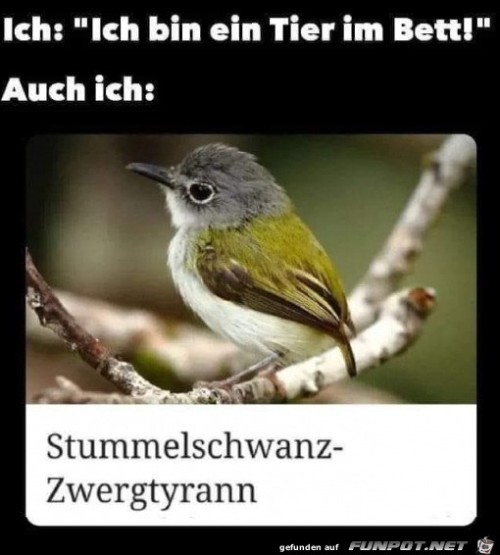 Vortäuschung-falscher-Tatsachen.jpg auf www.funpot.net