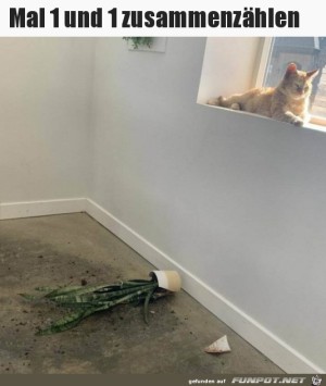 Wer-das-wohl-war.jpg auf www.funpot.net