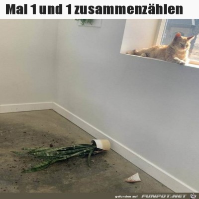 Wer-das-wohl-war.jpg von Jonah