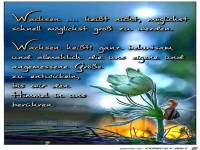 Wachsen hei�t nicht
