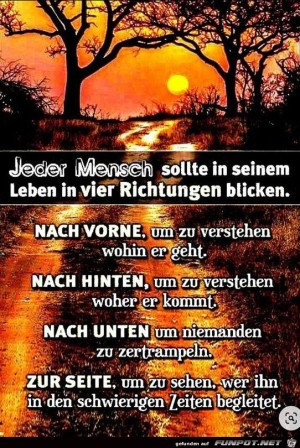 Jeder-Mensch-sollte-im-seinen-Leben-in-vier-Richtungen-blick.jpg auf www.funpot.net