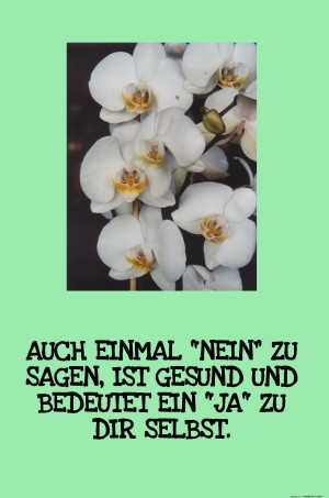 Auch-einmal-nein.jpg auf www.funpot.net