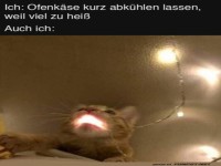 Ofenk�se etwas abk�hlen lassen