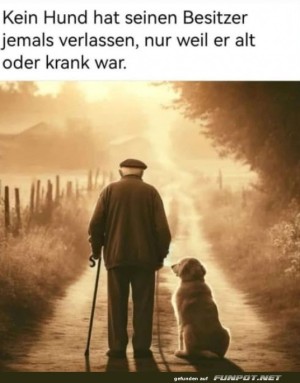 Treue:-Ein-Hund-verlsst-seinen-Besitzer-nie.jpg auf www.funpot.net