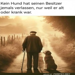 herz-Bild: Treue: Ein Hund verlässt seinen Besitzer nie