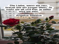 die liebe, wenn sie neu