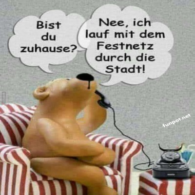 B&auml;r-telefoniert-mit-Sinn-f&uuml;r-Humor.jpg von Eliano17