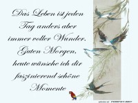 Das Leben ist