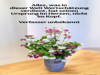 alles, was in dieser welt